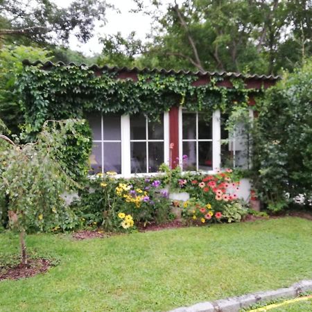 Ferienhaeuschen Gruber Villa Loosdorf Exterior photo