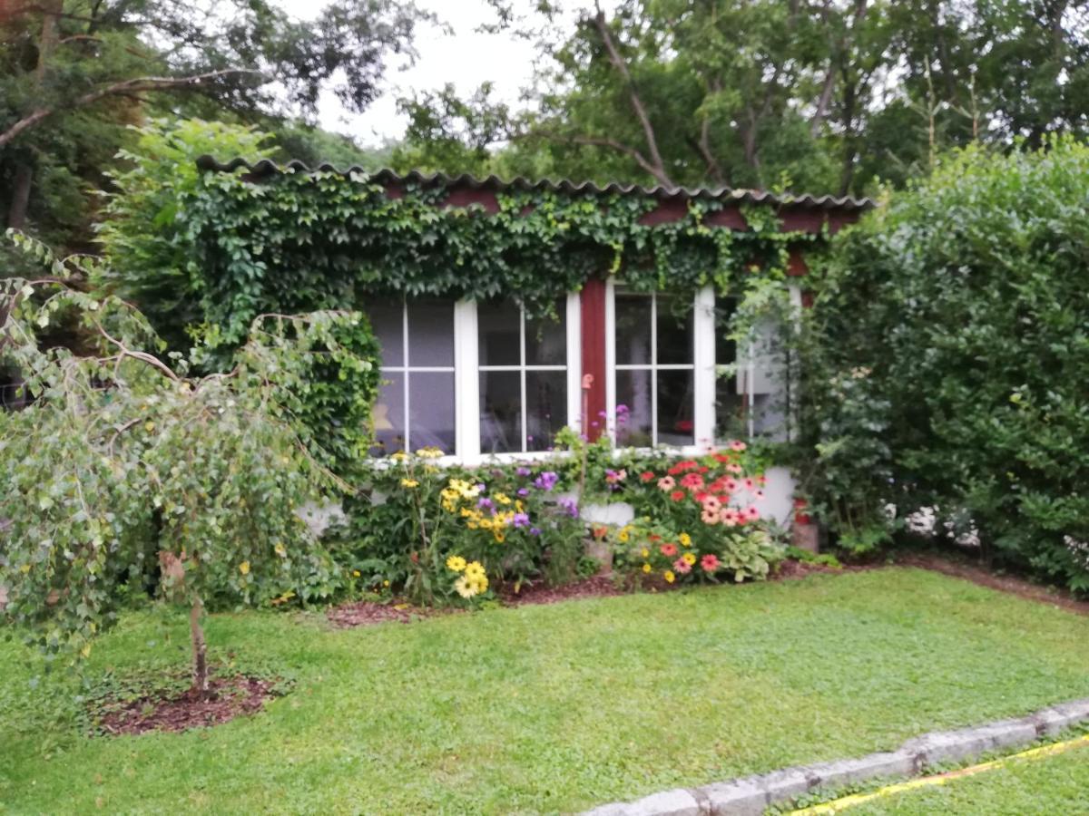 Ferienhaeuschen Gruber Villa Loosdorf Exterior photo